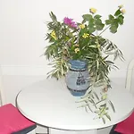 Apartments Aba